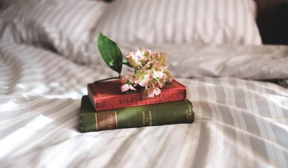 Books and flowers on striped bed linen
